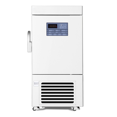 AC240V 60Hz Ultra Low Temperature Freezer Vertical Minus 40 Vaccine Fridge
