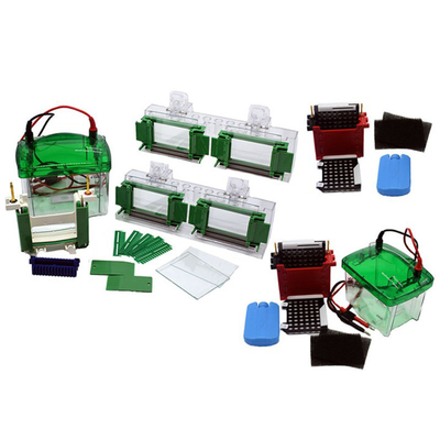 JY-HG DNA Protein Gel Electrophoresis System Instrument OEM ODM