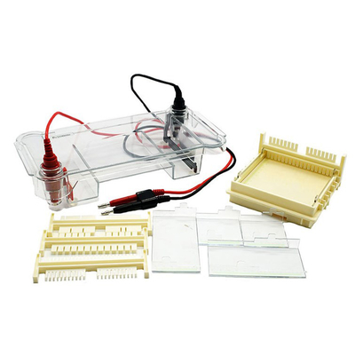 JY-HG DNA Protein Gel Electrophoresis System Instrument OEM ODM